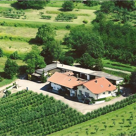 Weingut Ringwald Daire Herbolzheim Dış mekan fotoğraf