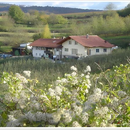 Weingut Ringwald Daire Herbolzheim Dış mekan fotoğraf