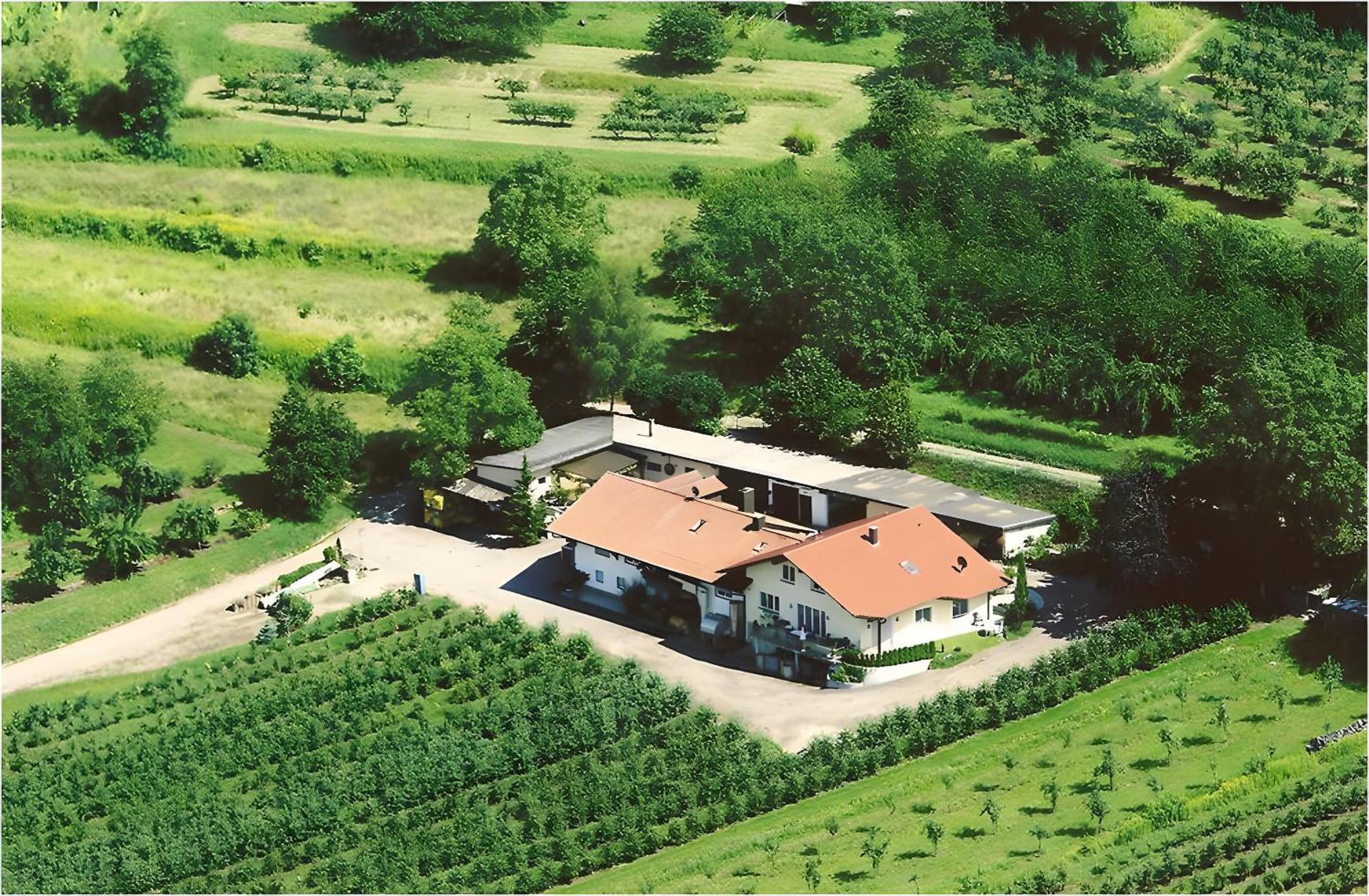 Weingut Ringwald Daire Herbolzheim Dış mekan fotoğraf