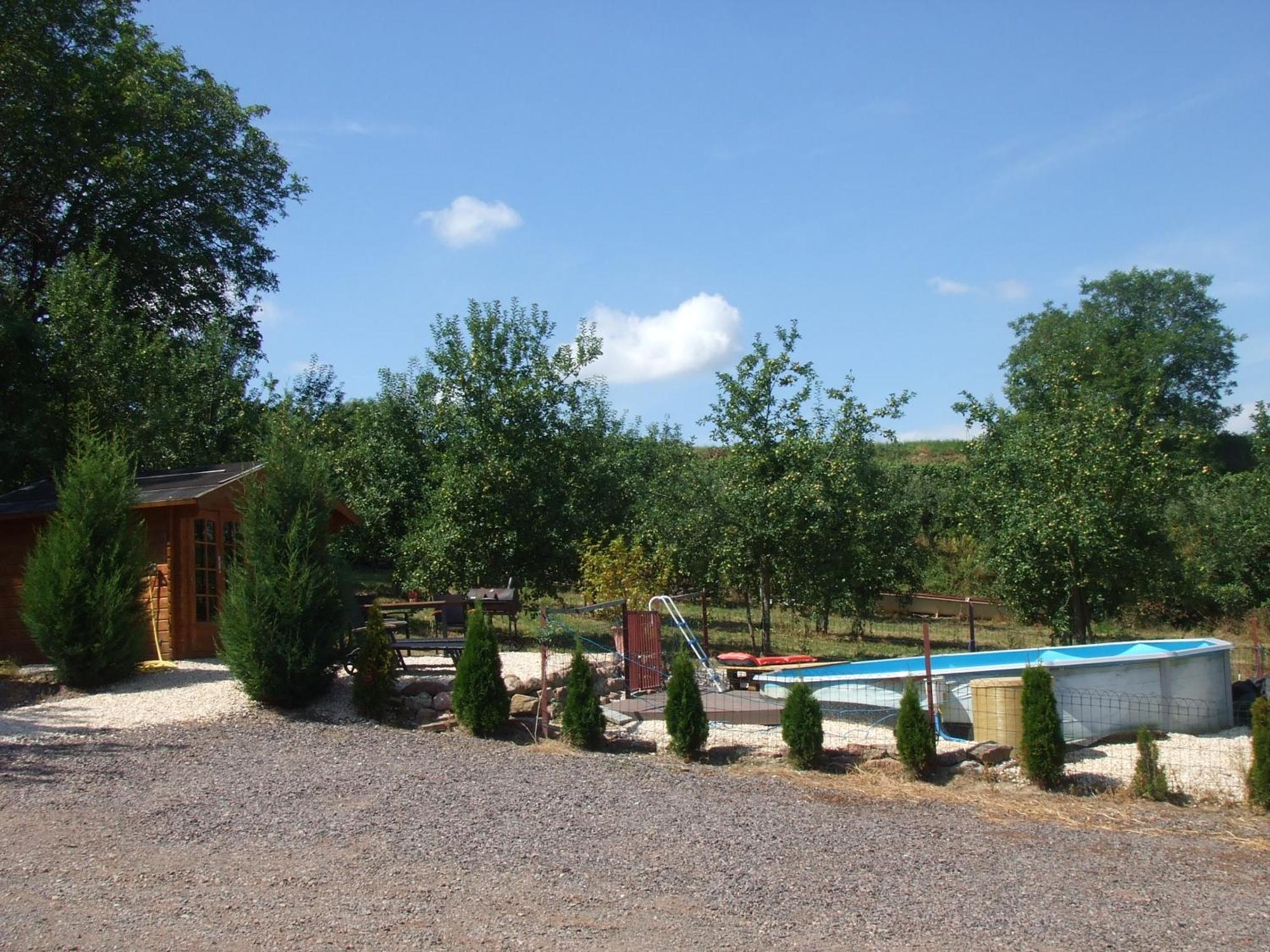 Weingut Ringwald Daire Herbolzheim Dış mekan fotoğraf